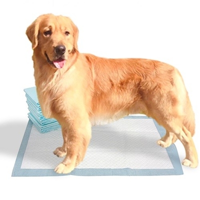La pelusa del papel seda reduce los cojines disponibles del animal doméstico a pulpa de SAP para los perros