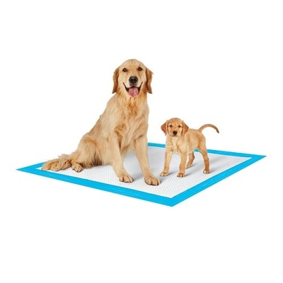 El animal doméstico disponible al aire libre interior suave de Nowoven rellena el algodón 100%