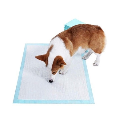 El animal doméstico disponible al aire libre interior suave de Nowoven rellena el algodón 100%