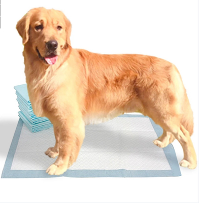 El entrenamiento de bambú de la extra grande rellena a Pee Pads For Dogs disponible