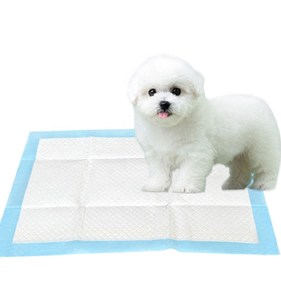 Cojín interior absorbente disponible de la orina del perro del entrenamiento del perrito del cojín de la orina del animal doméstico